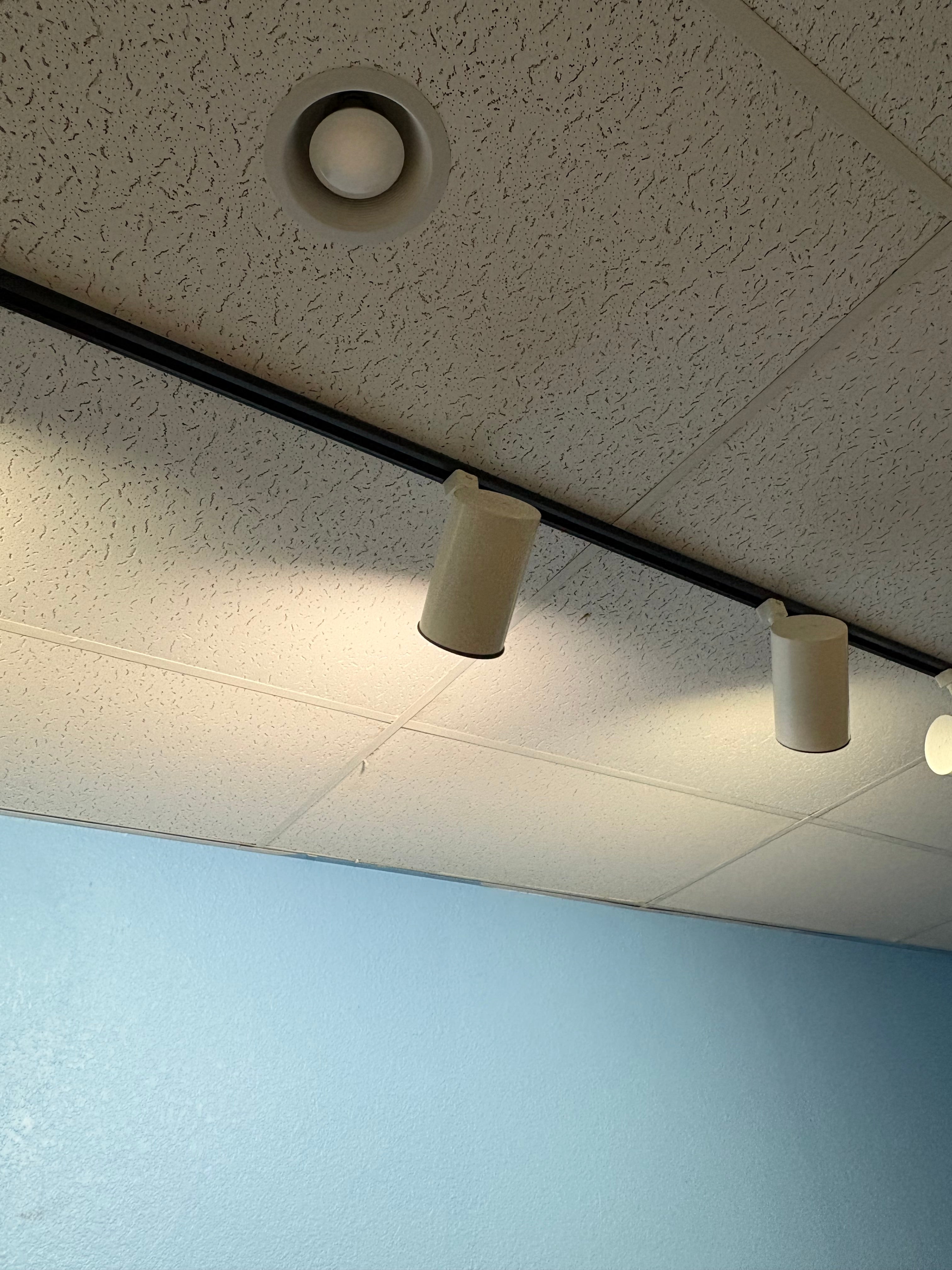 Black Track Lighting System – 9 Lights Total (6 + 3) – Buyer Removes